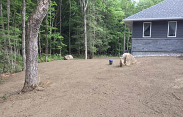 Landscapes of Muskoka Site Prep