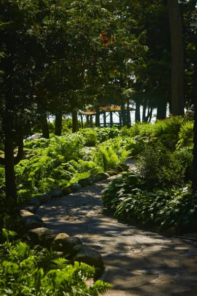 Landscapes of Muskoka Forest Walkway